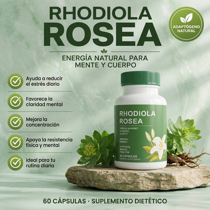 Rhodiola Rosea