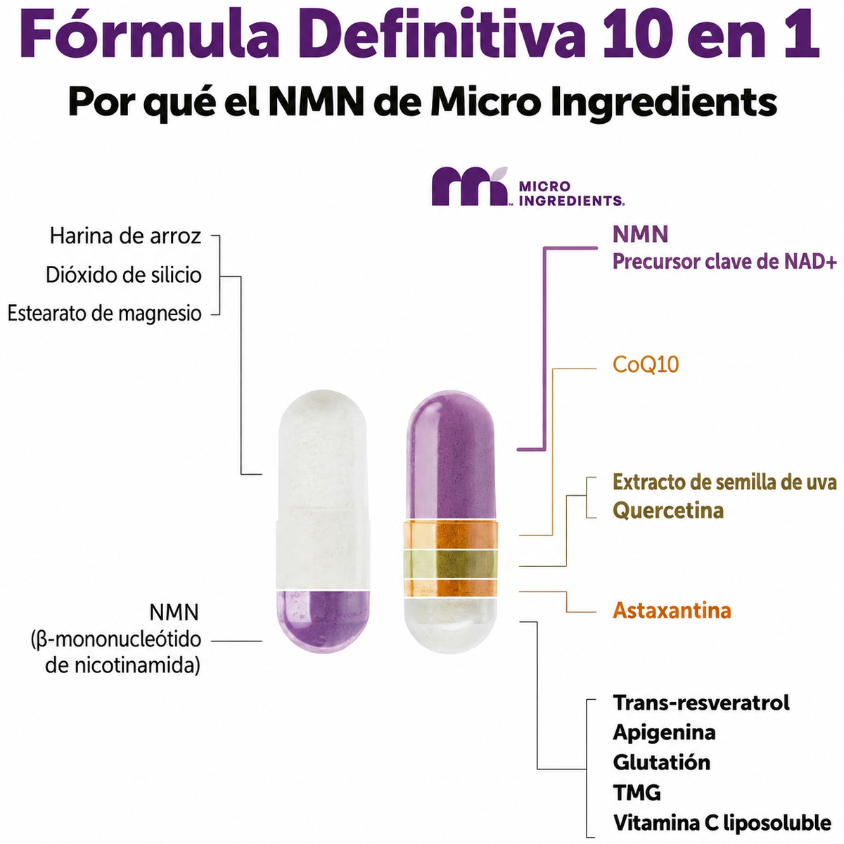 NMN COMPLEX 1000 MG